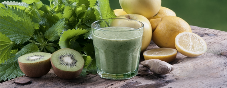 JARNÍ VITAMÍNOVÁ BOMBA - KOPŘIVOVÝ ELIXÍR