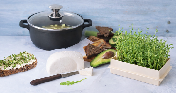 DO NOVÉHO ROKU ZDRAVĚJI