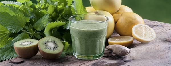 JARNÍ VITAMÍNOVÁ BOMBA - KOPŘIVOVÝ ELIXÍR