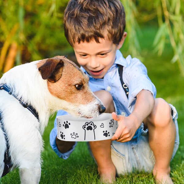 Miska pro psy MAZLÍČCI pr. 15 cm