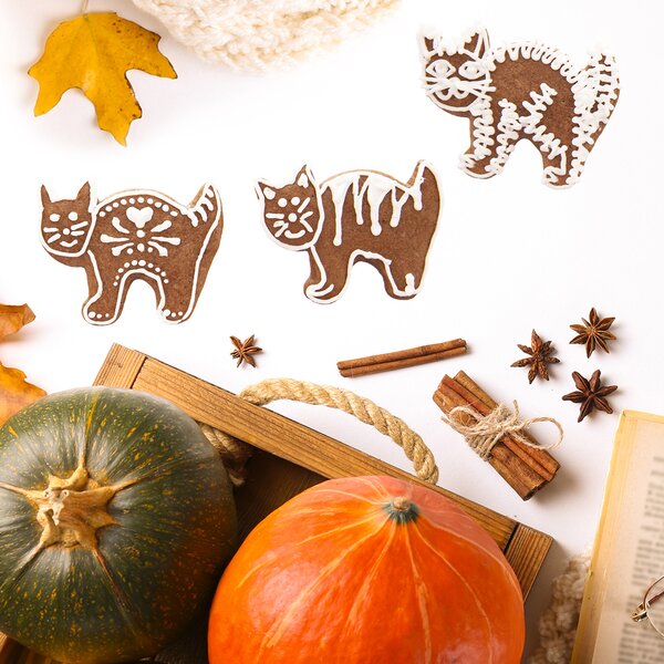 Vykrajovačka kocour