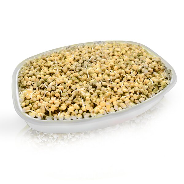 Nakličovací mísa s víkem 29x21 cm