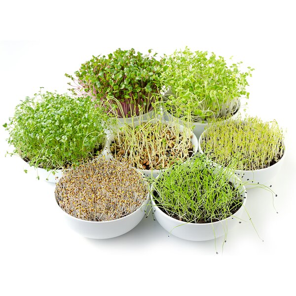 Nakličovací mísa s víkem 29x21 cm