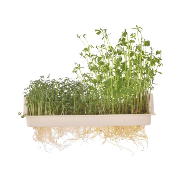 Nakličovací mísa s víkem 21x13,5 cm