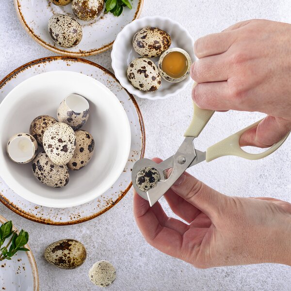 Nůžky na křepelčí vajíčka