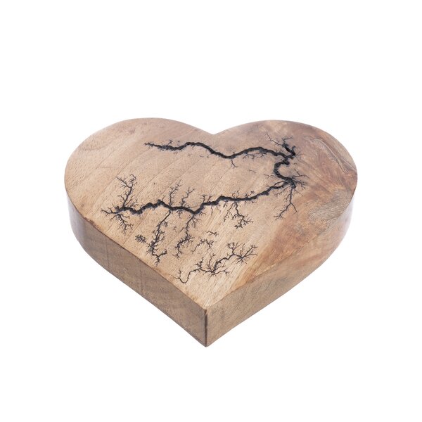 Dekorace srdce MANGO electric