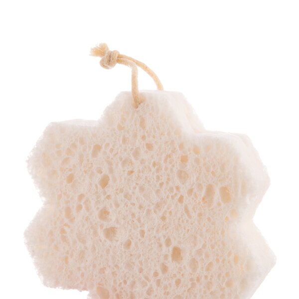 Houba na nádobí včela EKO