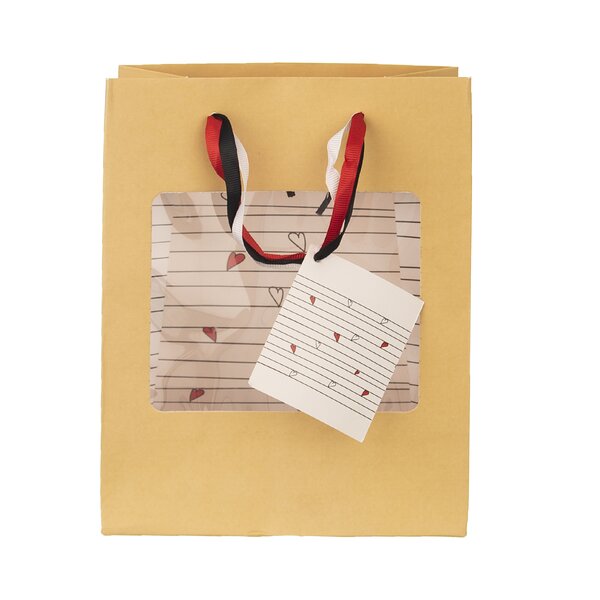 Dárková taška SRDÍČKA 18x10x23 cm 