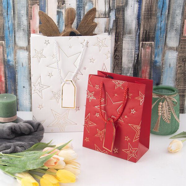 Dárková taška hvězda 26x12x32 cm 