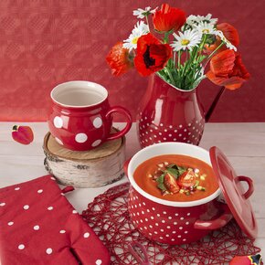 Hrnec TEČKA s poklicí 2,3 l