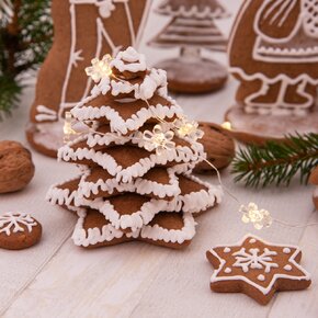 Vykrajovačka hvězda sada 5 ks