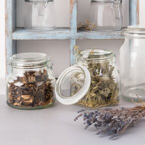 Dóza s klipovým uzávěrem Irma 2,4 l