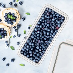 Dóza s těsněním UROVNEJTO 0,45 l