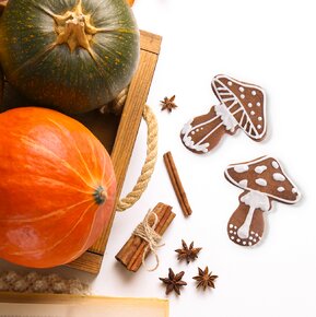 Vykrajovačka muchomůrka