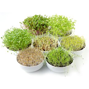 Nakličovací mísa s víkem 29x21 cm