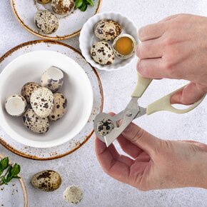 Nůžky na křepelčí vajíčka