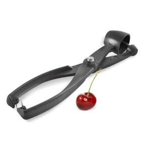 Odpeckovač třešní