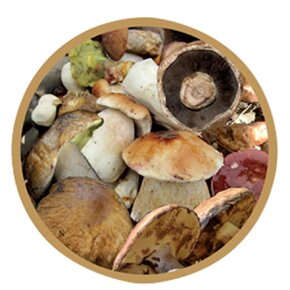 Zavařovací víčko Bio 66 10 ks