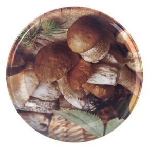 Zavařovací víčko Bio 66 10 ks