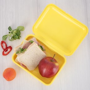 Svačinový box zajíc