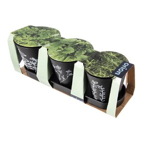 Květináč bylinky BLACK pr. 11cm 3 ks s podtáckem