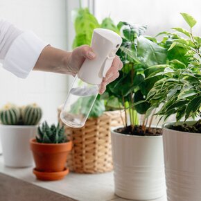 Rozprašovač 0,25 l