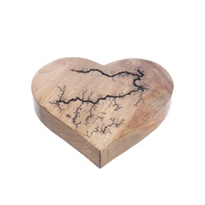 Dekorace srdce MANGO electric