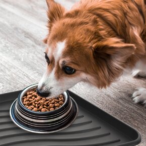 Venkovní rohož-odkapávač 38x38 cm