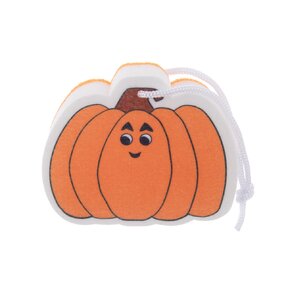 Houba na nádobí 1 ks