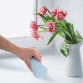 Houba na prach Pure 2 ks