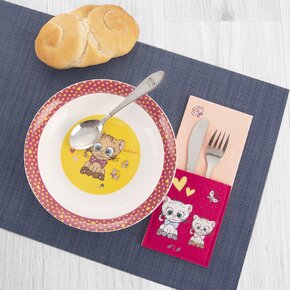 Kapsa na příbory KOCOUŘI