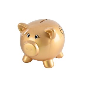 Pokladnička  ZLATÉ PRASÁTKO 