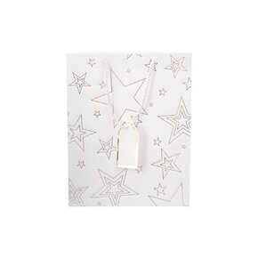 Dárková taška hvězda 18x10x23 cm 
