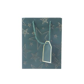 Dárková taška hvězda 18x10x23 cm 