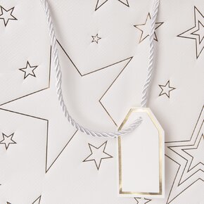 Dárková taška hvězda 31x12x26 cm